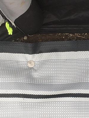 Vorzeltteppich gesichert mit Bodennagel Edelstahl